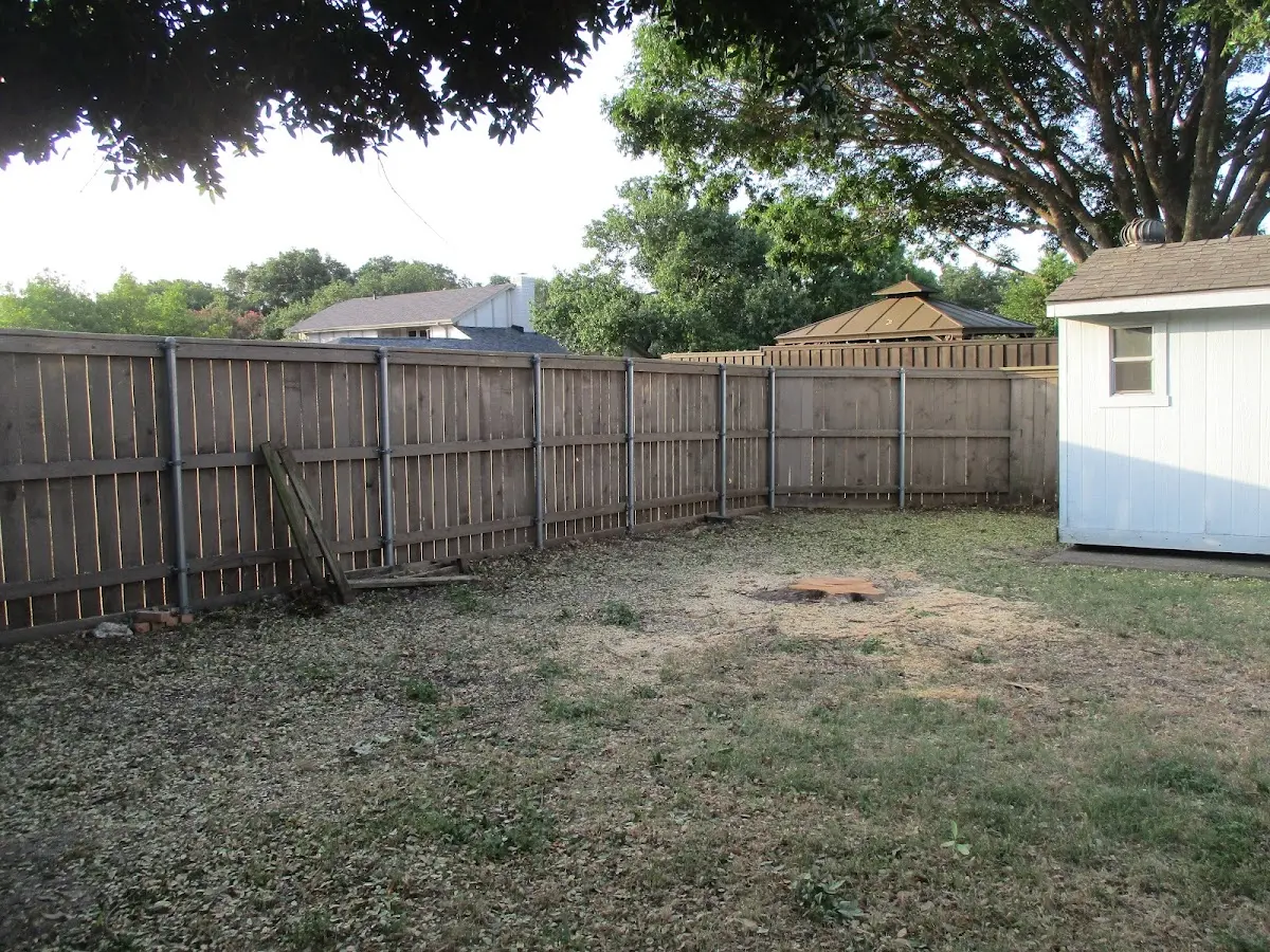 Cleared yard after professional tree removal in Mc Kees Rocks